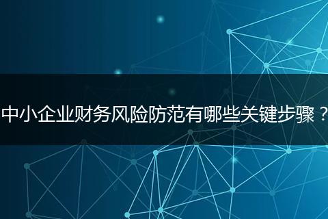 中小企业财务风险防范有哪些关键步骤？