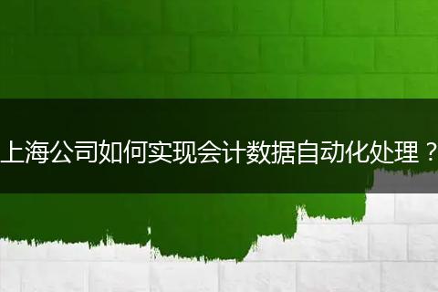 上海公司如何实现会计数据自动化处理？