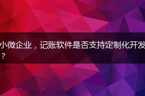 小微企业，记账软件是否支持定制化开发？