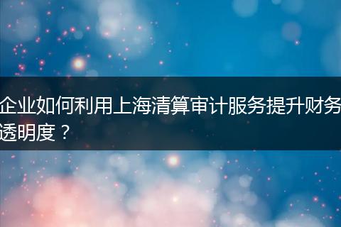 企业如何利用上海清算审计服务提升财务透明度？