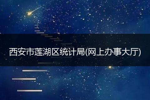 西安市莲湖区统计局(网上办事大厅)