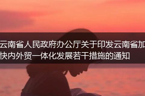 云南省人民政府办公厅关于印发云南省加快内外贸一体化发展若干措施的通知