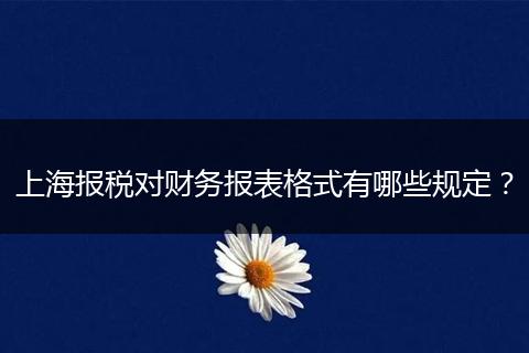 上海报税对财务报表格式有哪些规定？