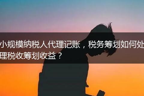 小规模纳税人代理记账，税务筹划如何处理税收筹划收益？