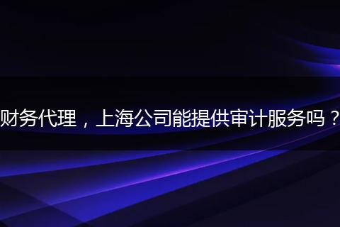 财务代理，上海公司能提供审计服务吗？