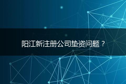阳江新注册公司垫资问题？