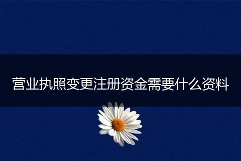 营业执照变更注册资金需要什么资料