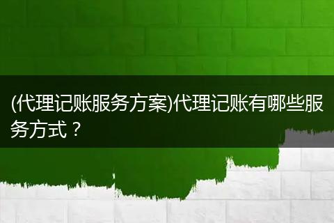 (代理记账服务方案)代理记账有哪些服务方式？