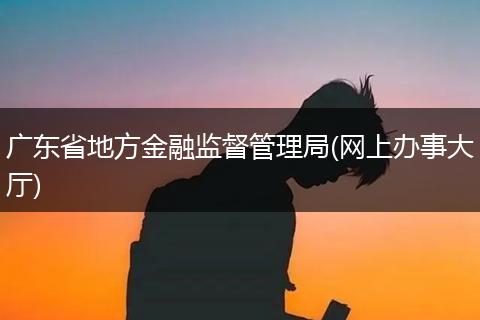 广东省地方金融监督管理局(网上办事大厅)