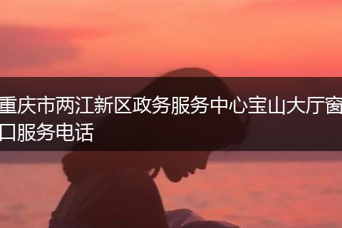 重庆市两江新区政务服务中心宝山大厅窗口服务电话