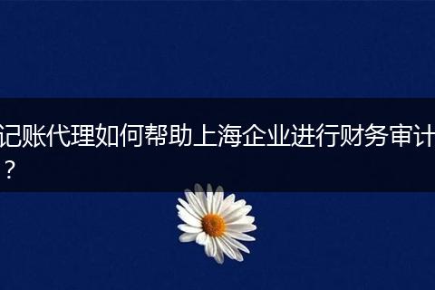记账代理如何帮助上海企业进行财务审计？