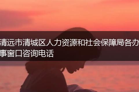 清远市清城区人力资源和社会保障局各办事窗口咨询电话