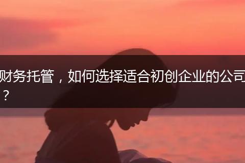 财务托管，如何选择适合初创企业的公司？