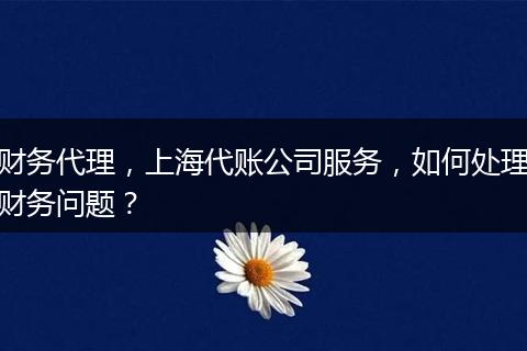 财务代理，上海代账公司服务，如何处理财务问题？