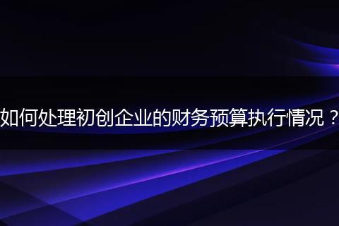 如何处理初创企业的财务预算执行情况？