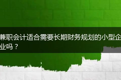 兼职会计适合需要长期财务规划的小型企业吗？