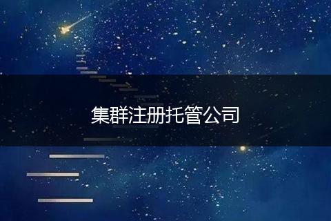 集群注册托管公司