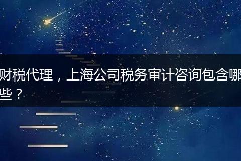 财税代理，上海公司税务审计咨询包含哪些？