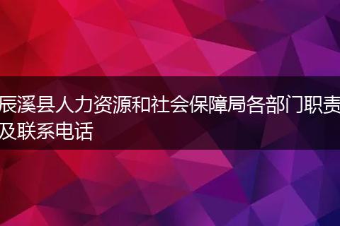 辰溪县人力资源和社会保障局各部门职责及联系电话