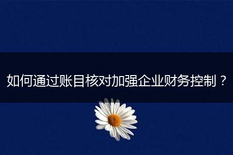 如何通过账目核对加强企业财务控制？