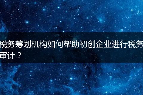 税务筹划机构如何帮助初创企业进行税务审计？