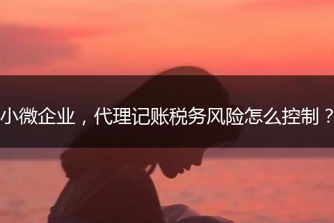 小微企业，代理记账税务风险怎么控制？