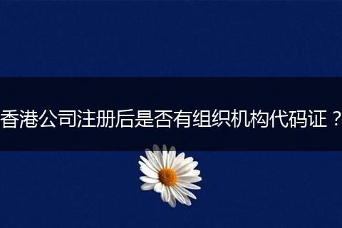 香港公司注册后是否有组织机构代码证？