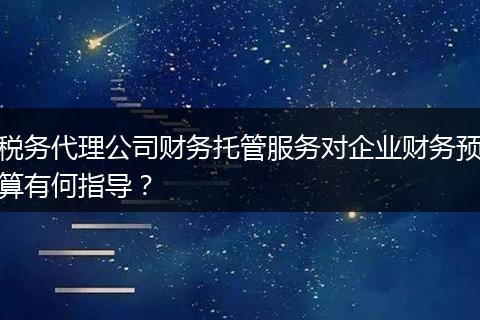税务代理公司财务托管服务对企业财务预算有何指导？