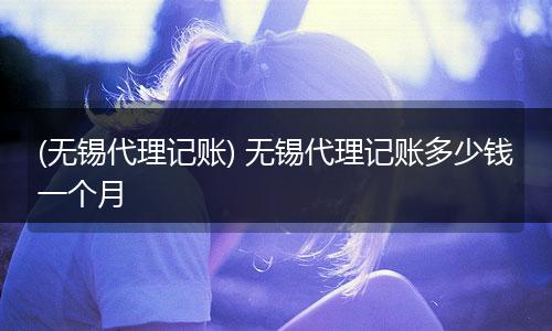 (无锡代理记账) 无锡代理记账多少钱一个月