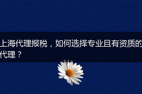 上海代理报税，如何选择专业且有资质的代理？
