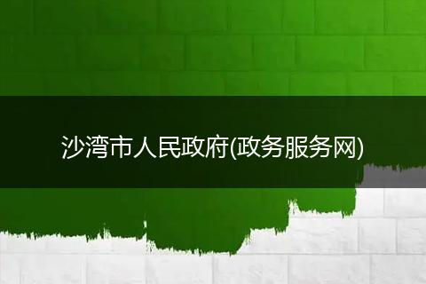 沙湾市人民政府(政务服务网)