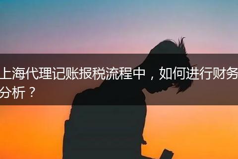 上海代理记账报税流程中，如何进行财务分析？