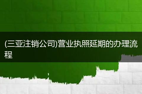 (三亚注销公司)营业执照延期的办理流程