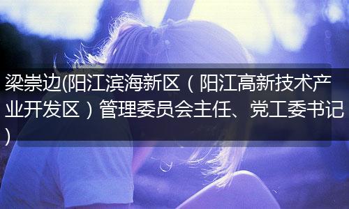 梁崇边(阳江滨海新区（阳江高新技术产业开发区）管理委员会主任、党工委书记)