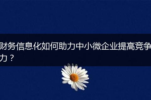 财务信息化如何助力中小微企业提高竞争力？