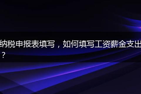 纳税申报表填写，如何填写工资薪金支出？