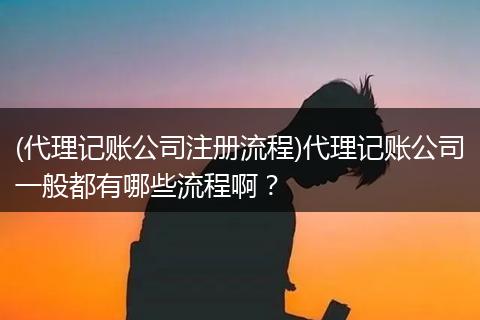 (代理记账公司注册流程)代理记账公司一般都有哪些流程啊？