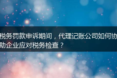 税务罚款申诉期间，代理记账公司如何协助企业应对税务检查？