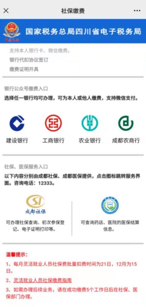 怎么在手机上进行医保缴费？