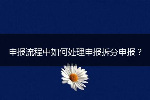 申报流程中如何处理申报拆分申报？