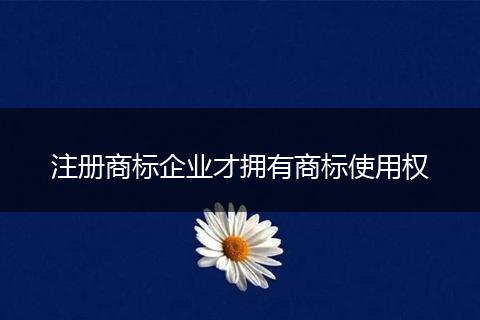注册商标企业才拥有商标使用权