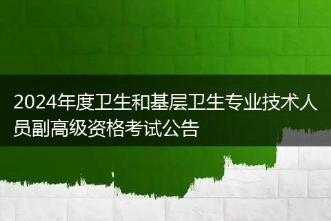 2024年度卫生和基层卫生专业技术人员副高级资格考试公告