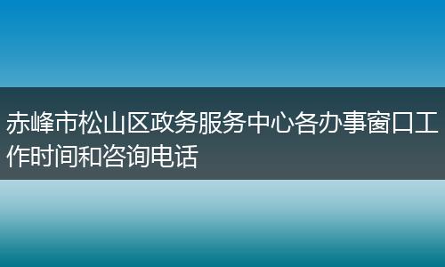 赤峰市松山区政务服务中心各办事窗口工作时间和咨询电话