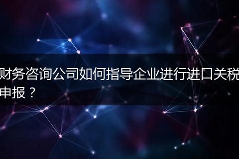 财务咨询公司如何指导企业进行进口关税申报？