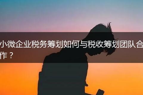 小微企业税务筹划如何与税收筹划团队合作？