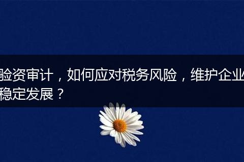 验资审计，如何应对税务风险，维护企业稳定发展？
