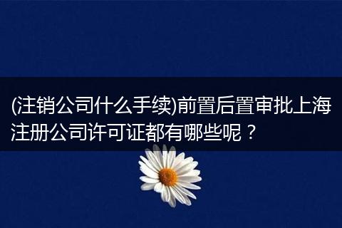 (注销公司什么手续)前置后置审批上海注册公司许可证都有哪些呢？