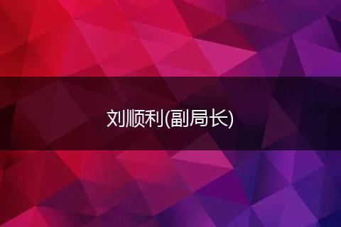 刘顺利(副局长)