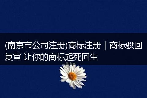 (南京市公司注册)商标注册｜商标驳回复审 让你的商标起死回生