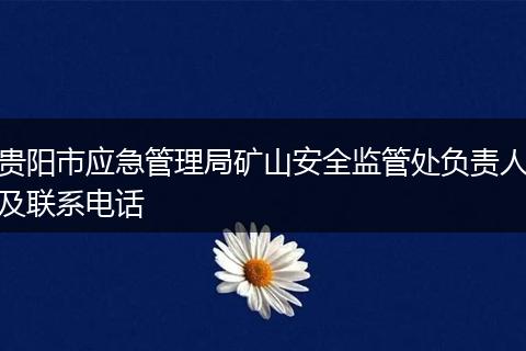 贵阳市应急管理局矿山安全监管处负责人及联系电话